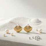 Aretes Concha Perla